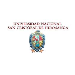 Empresa Colaboradora: Universidad Nacional San Cristobal de Huamanga